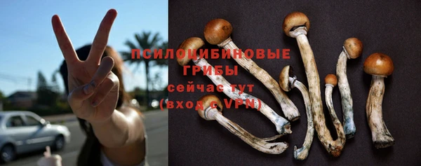 a pvp Алзамай