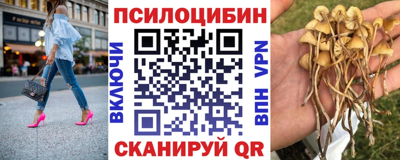 Псилоцибиновые грибы прущие грибы  Артём 